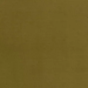 Boutique Velvet Olive