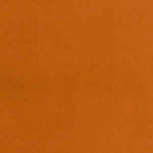 Boutique Velvet Pumpkin