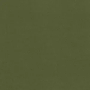 Plain Anti-Pil Fleece Avocado
