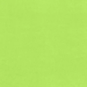 Plain Anti-Pil Fleece Kiwi
