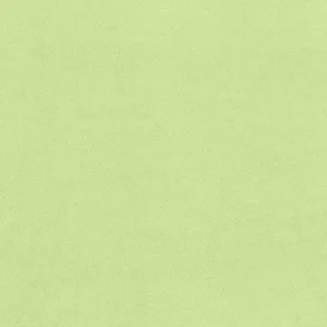 Plain Anti-Pil Fleece Mint
