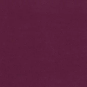 Plain Anti-Pil Fleece Plum