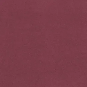 Plain Anti-Pil Fleece Raisin