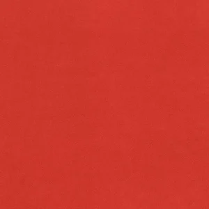 Plain Anti-Pil Fleece Bright Red