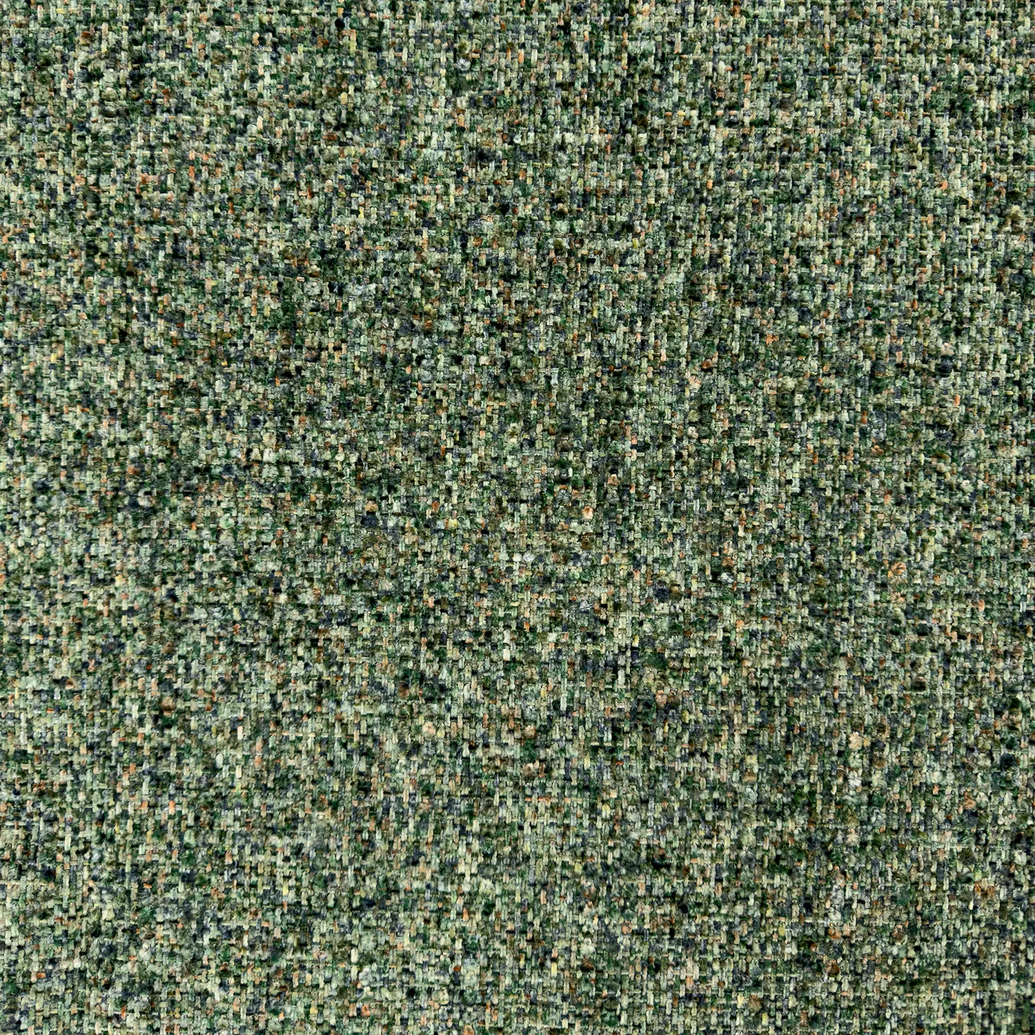 Arcadia Pine