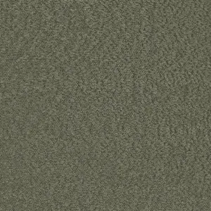 Beau Chenille Sage