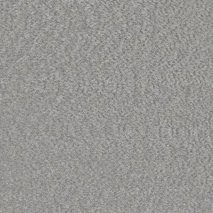 Beau Chenille Silver