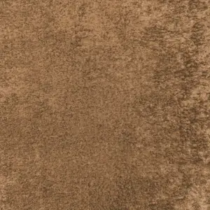 Carnival Bronze