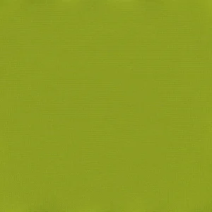 Francisco PU Lime