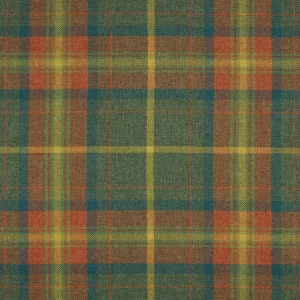 Grampian Dachshund