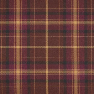 Grampian Papillon