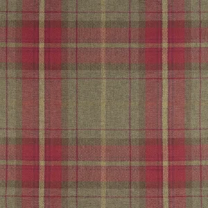 Grampian Pembroke