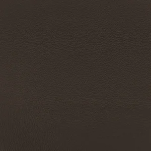 Nevada Grain Mocha