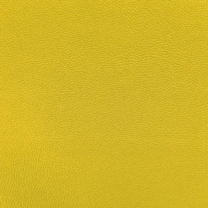 Nevada Grain Sunflower