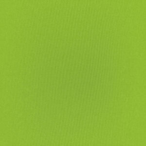 Ventura PU Lime